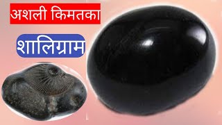 अशली शालिग्राम  An Arginal Shaligram  s3vlogs [upl. by Yreved421]