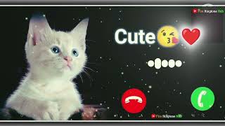 cute baby ringtone new notification tone message ringtone SMS tone Love Ringtone download Now [upl. by Noinatrad]