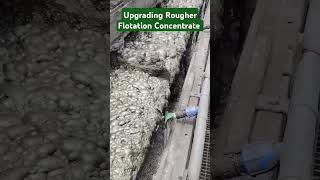 Upgrading Rougher Flotation Concentrate in Cleaning Circuit [upl. by Rosemarie184]