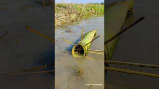 Banana Tree Fish trap with small cat fish 😁Shorts Fishing Viral fish [upl. by Ainecey]