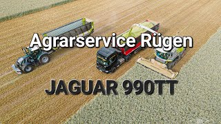 Agrarservice Rügen GPSClaas Jaguar 990 Terra Trac  Fendt  John Deere [upl. by Slorac]