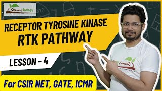 Receptor tyrosine kinase pathway  RTK receptor cell signaling [upl. by Eniamert]