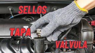 Como adaptar sellos de tapa válvula [upl. by Natividad208]