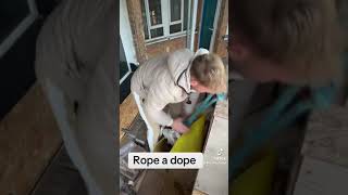 Rope A Dope [upl. by Shaya632]