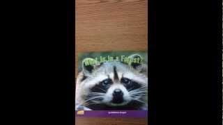 Childrens Book Read Aloud  What Is In The Forest [upl. by Cam234]