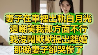 妻子在車裡出軌白月光，還嘲笑我那方面不行，我沒鬧默默提出離婚，那晚妻子卻哭慘了 [upl. by Laflam747]