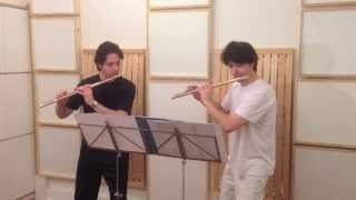 The best Flute Duo ever plays Flight of the Bumblebee [upl. by Dagmar]