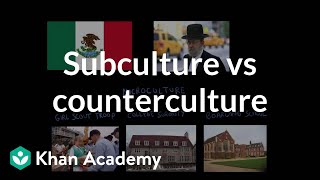 Subculture vs counterculture  Society and Culture  MCAT  Khan Academy [upl. by Leo]