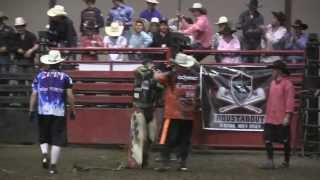 Matt Triplett 925 on CN Stars 73 Buck Wild to win the New Town ND PBR [upl. by Herculie]