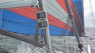 J80 GER 577 Anegada 16knots surf across the Kattegat [upl. by Elicul]