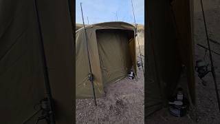 Fox Eos 2man Bivvy Avid Benchmark Lite Avid Heated Mattress carpfishing101 shortvideo angler [upl. by Salohcin944]