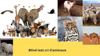 Blind test  cri danimaux [upl. by Imis]