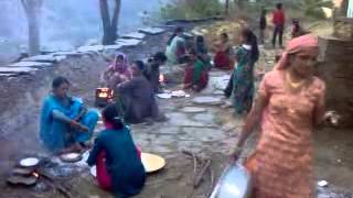 New Garhwali Song 2024 Lagda magsheer Ka Maina by DSPanwa [upl. by Rora579]