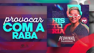 PROVOCAR COM A RABA  Pedrinho Forrozeiro  CD UMA NOVA HISTÓRIA [upl. by Annwahsal]