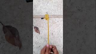 Outdoors Practical knotknottying diy knottutorial shortsfeed rope easyknot shorts ytshorts [upl. by Carnay282]