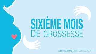 Sixième mois de grossesse  La grossesse mois par mois [upl. by Rezzani]