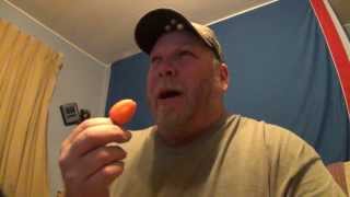 WORLDS BEST Habanero Pepper Challenge [upl. by Arrad794]