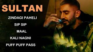 Sultaan All Hits Songs  Audio Jukebox  Best Of Sultan New Punjabi Song  Sip Sip Puff Puff Pass [upl. by Modnar]