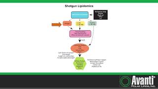 Mass Spectrometric Approaches to Lipidomic Studies [upl. by Doowrehs]