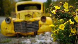 Trucks of the Canol Road Abandoned USA WWII Trucks in Canada [upl. by Remy845]