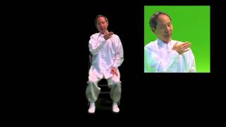 Zion Tai Chi Part 3 Patting and Hitting [upl. by Markus329]