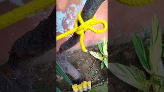 Tie Stylish Rope Knot  tie a rope knot skills [upl. by Theona]