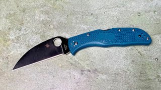 DISCONTINUED Spyderco K390 Wharncliffe Endela  cardboard’s worst nightmare [upl. by Hendel430]