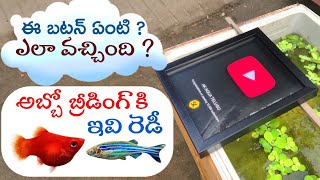 BALLOON PLATY amp ZEBRA BREEDING SIZE FISHS  SaiKrishnaTechy play botton review  AK AQUA TELUGU [upl. by Idolla]