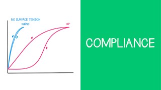 32 Respiratory Compliance [upl. by Mis]