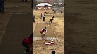 Rate this slower ball🏏 cricket slower shorts shortsfeed cricketshorts [upl. by Topping]