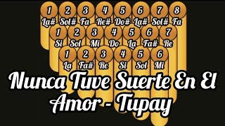 Tutorial y notas de zampoña Nunca Tuve Suerte En El Amor  Tupay [upl. by Ennairek838]