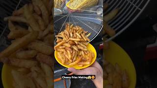 Super Cheesy Fries Making In Just Rs100 Only At Shree Pandit Ji Foods Mall Road Kanpur  shorts [upl. by Dee Dee]