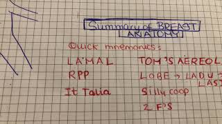 Anatomy of the breast easy anatomy with mnemonics EASY EXPLANATION LACTIFEROUS ducts [upl. by Littman]