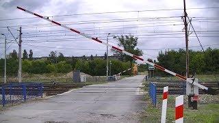 Spoorwegovergang Jędrzejów PL  Railroad crossing  Przejazd kolejowy [upl. by Mia]