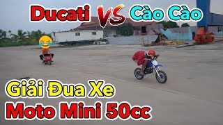 Lâm Vlog  Giải Đua Xe Moto Mini 50cc  Moto Ducati Mini vs Cào Cào Mini  Ducati vs Motocross Bike [upl. by Ursuline]