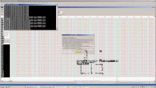 DNA and Amino Acid Sequence Analysis using Sequencher and BioEdit Software [upl. by Aymahs241]