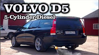 Best of Volvo D5 Sounds – Loud 5Cylinder Turbo Diesels [upl. by Mackintosh]