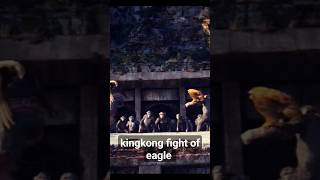 kingkong fight of eagle triller shortvideostatus [upl. by Eltsirc820]