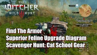 The Witcher 3 Wild Hunt Find The Armor Superior Feline Upgrade Diagram [upl. by Niliac592]