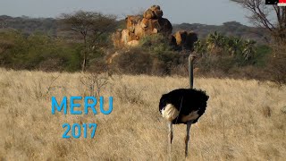 MERU 2017 extended Version [upl. by Nanreik]