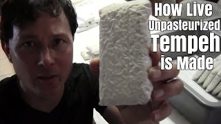 How Live Unpasteurized Tempeh is Made [upl. by Ahsieyt582]