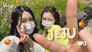 23년 살면서 처음 가보는 제주도 브이로드 1탄  JEJU ISLAND VLOG EP1  🍊 [upl. by Elyse]