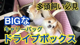 犬用ドライブボックスと多頭飼い専用キャリーバッグのご紹介 [upl. by Waynant471]