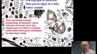 Lecture 1 History and Biology of Harmful Algae Blooms HABs [upl. by Verina95]