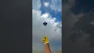 kiteadventure kiteflying kitelife outdooractivity cricketlover kiteenthusiast outdoorsport [upl. by Aniras]