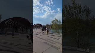 CALGARY PEACE BRIDGE EVENINGS 🇨🇦 canada [upl. by Helbon]