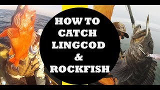 How to Catch Rockfish and Lingcod  Tips and Techniques [upl. by Eiddet]