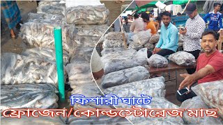 ফিশারী ঘাটে কোল্ডস্টোরেজ মাছ দাম জানুন।Cold StorageFrozen Sea FishFishery GhatChattogram [upl. by Py]