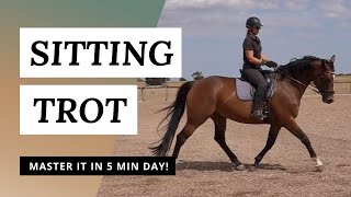 Sitting The Trot  How To Move Your Seat [upl. by Parshall]