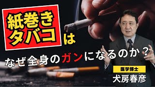 紙巻きタバコは何故全身のがんリスクがあがるのか？電子タバコは害がないは本当か？／犬房春彦（ルイ・パストゥール医学研究センター／医師・医学博士） [upl. by Noonan559]